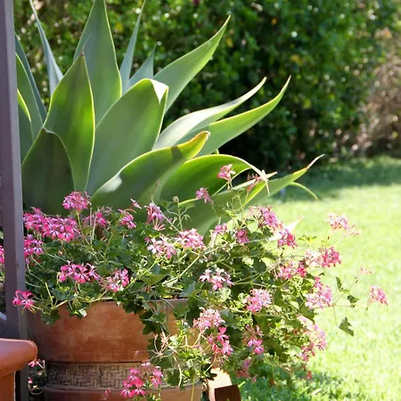 Apartament Sweet & Fontane Bianche